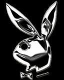 playboy
